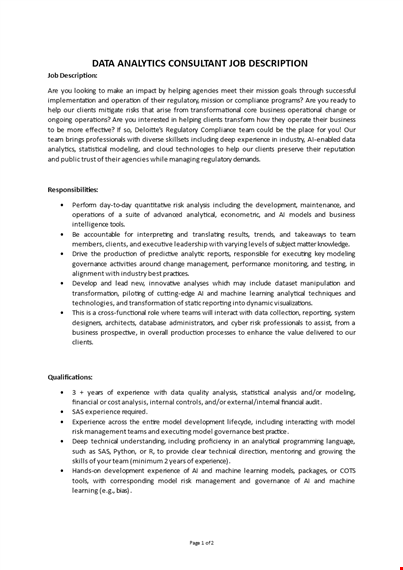 data analytics consultant job description template