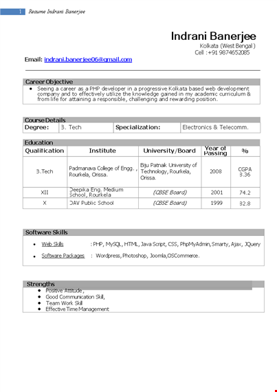 it professional fresher resume template template