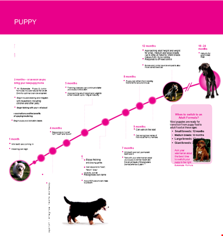 puppy growth chart template