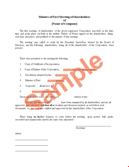 meeting minutes for corporation shareholders | professional corporate minutes template