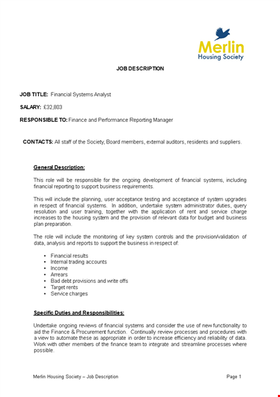 financial system analyst job description template