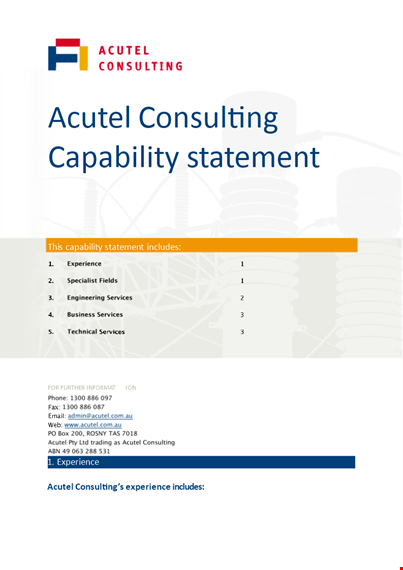 consulting capability statement template template