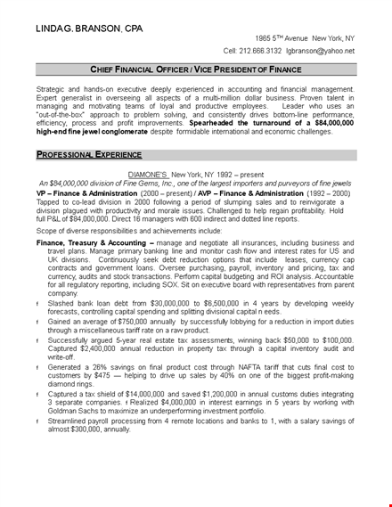 financial manager | finance, accounting & financial systems template template