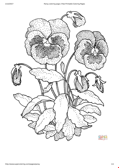 free printable flower coloring pages for adults - beautiful pansy designs | supercoloring template