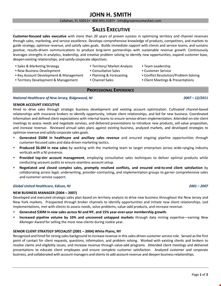 sales account executive resume - expertly crafted to impress account managers & drive sales growth template