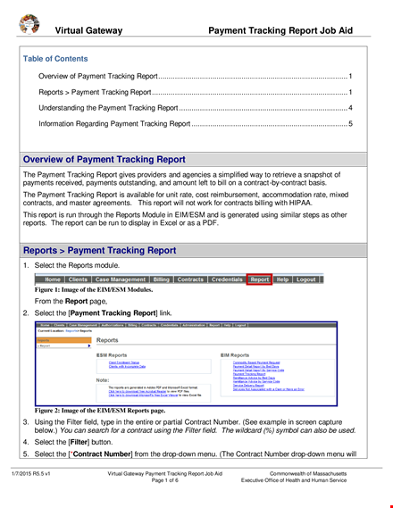 client payment tracking template template