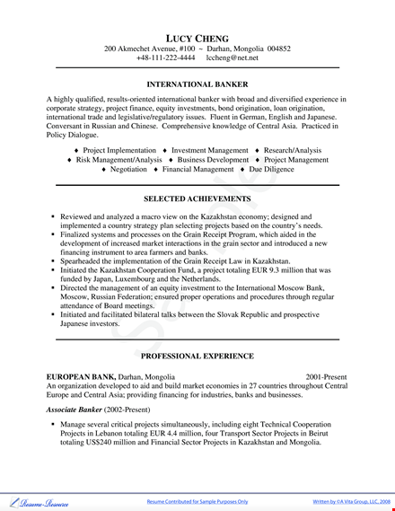 professional investment banking resume template
