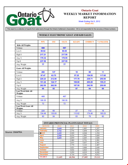 market information template