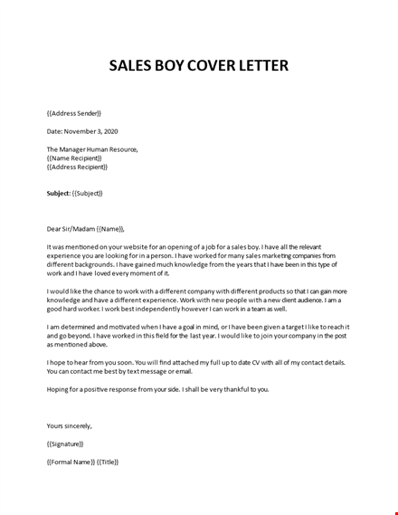 application for sales boy template