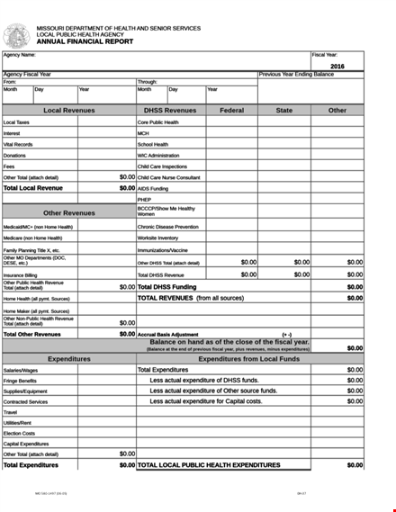 financial annual report - key insights about health, public revenues & local impact template