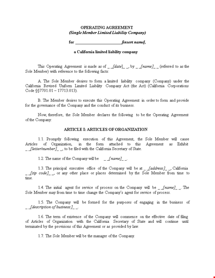 customize your llc operating agreement with our template template