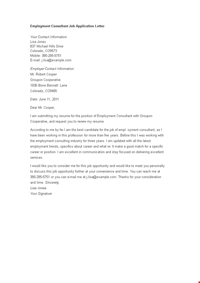 employment consultant job application letter template