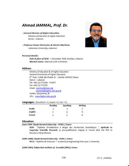 higher education executive resume template