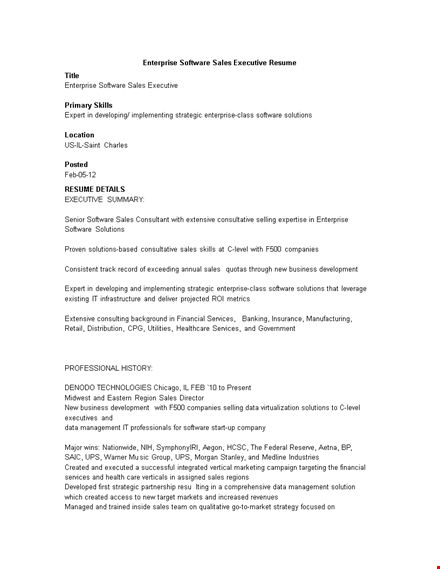 enterprise sales executive resume template