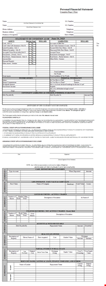 personal financial statement template for insurance, credit, statement value | download now template