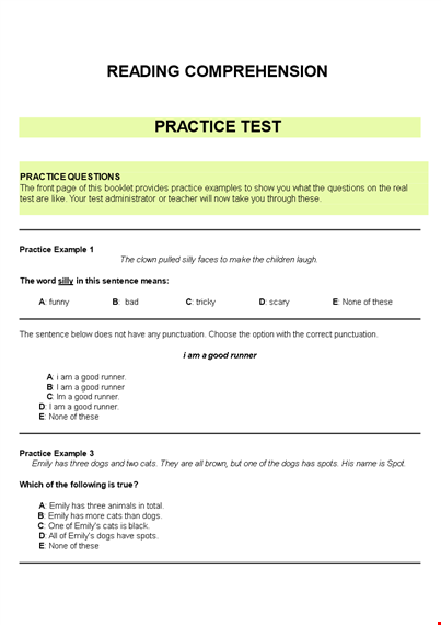 readingcomprehensionpractice template