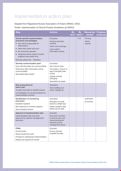 implementation action plan template template