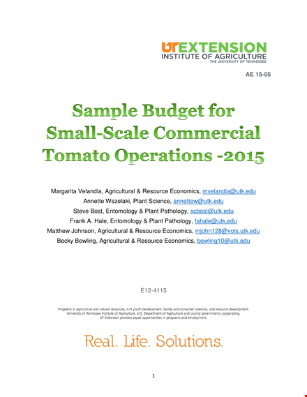 commercial production budget template - sample budget for tennessee tomato commercial template