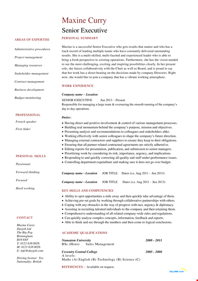 free senior executive resume template