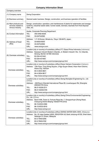 company information sheet template template