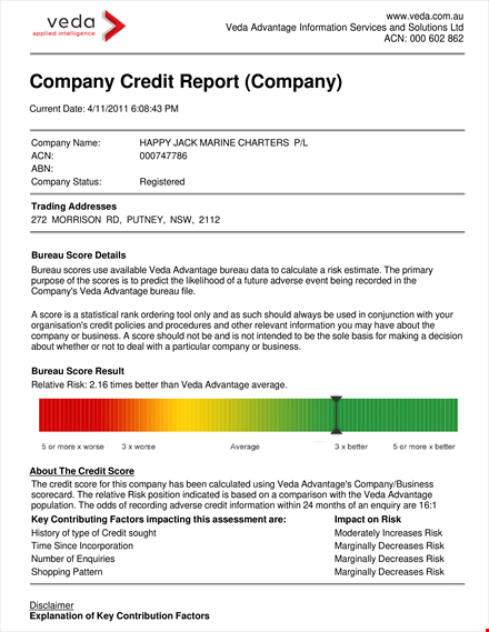 company credit report template template