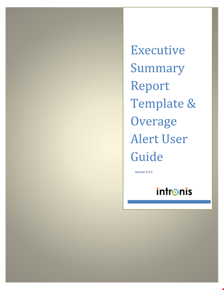 daily executive example template