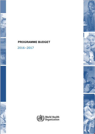 sample program budget template | affordable health support for global, regional, and local countries template