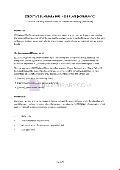 executive summary template template