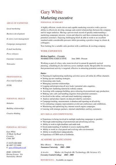 marketing executive resume in pdf template