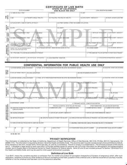 sample birth certificate template template
