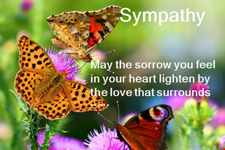 create heartfelt sympathy messages with our template template