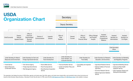 organization chart sample template