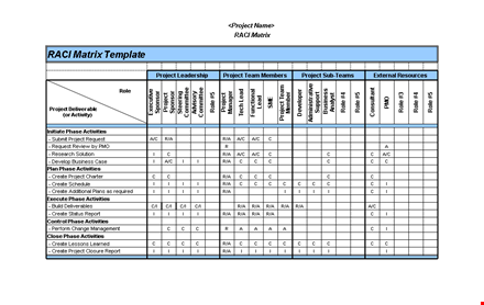 project activities with a comprehensive raci chart template