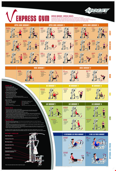 gym exercise template