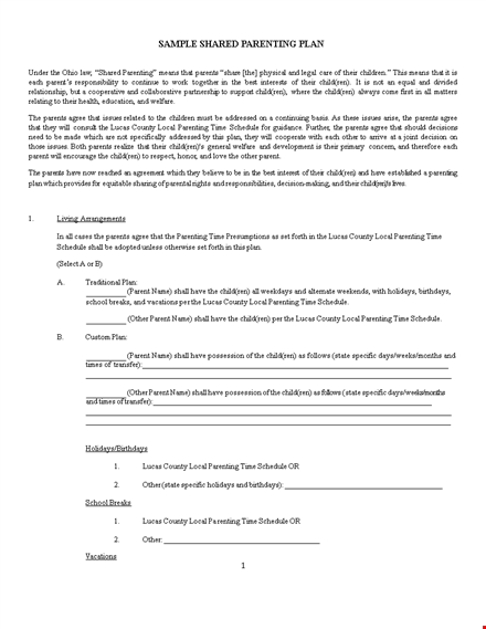 create a comprehensive parenting plan - custody agreement template for co-parents template