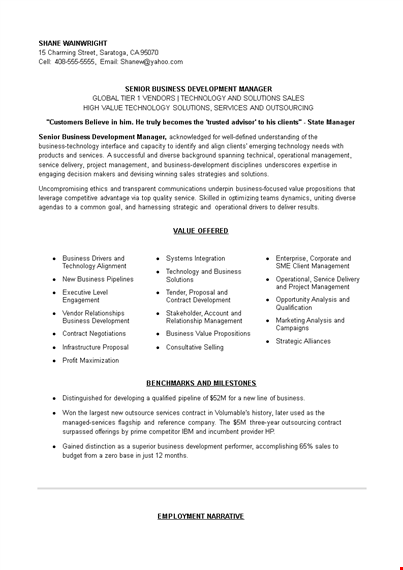 senior business executive resume template