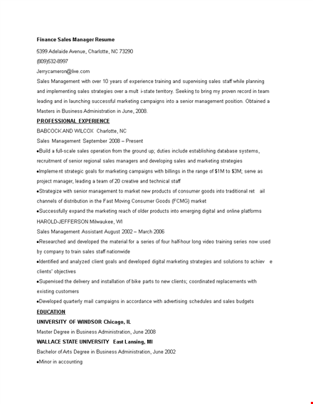 finance sales manager resume template