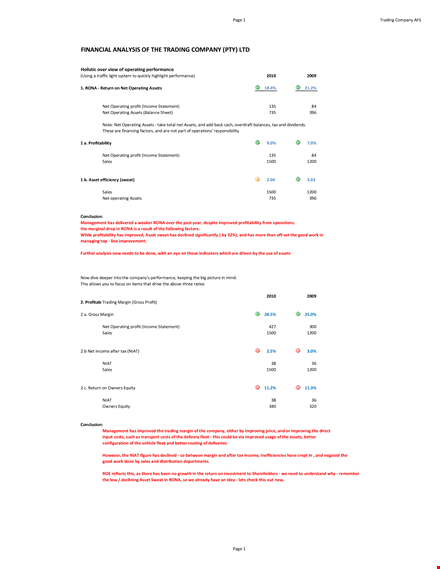 company financial analysis template