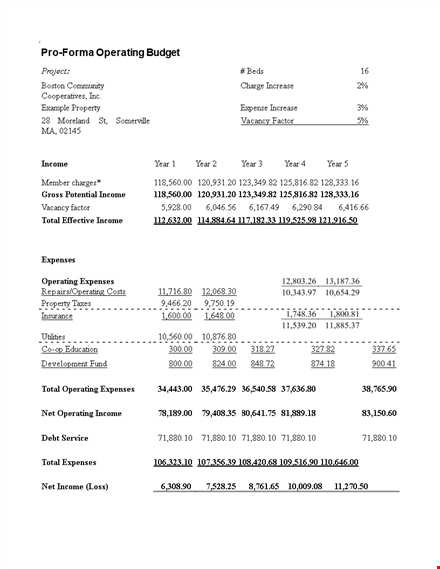 pro forma budget template template