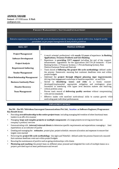 experienced professional resume format template