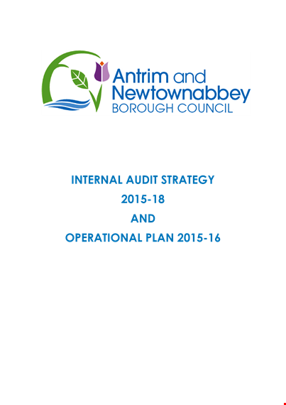 internal audit action plan - streamline management & enhance internal auditing template