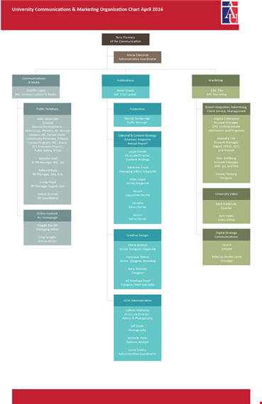marketing organization chart template template
