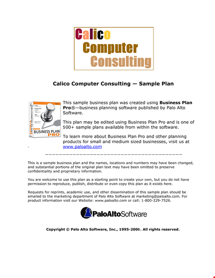 computer consulting business plan template template