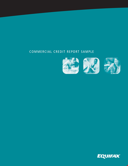 commercial credit report template template
