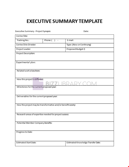 executive summary form template template