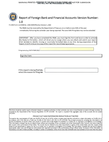 company and financial accounts template