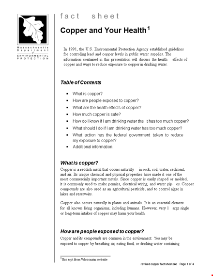 fact sheet template - health, water, copper, drinking levels template