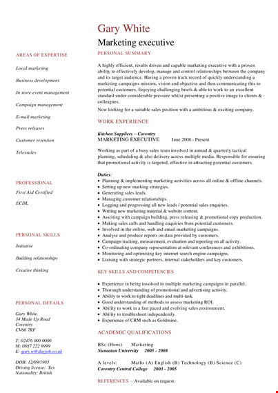 marketing executives resume template