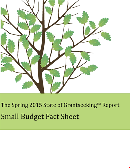 small business annual budget template for grants and small organizations template