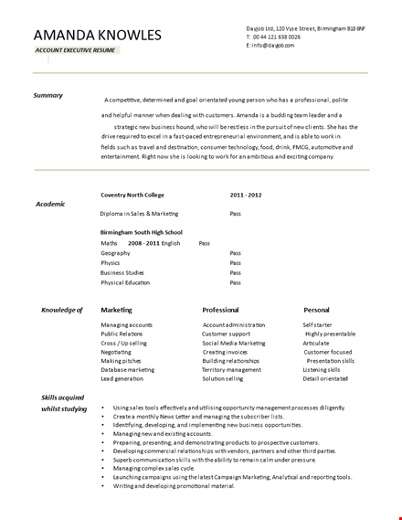 resume format for accounts executive download template